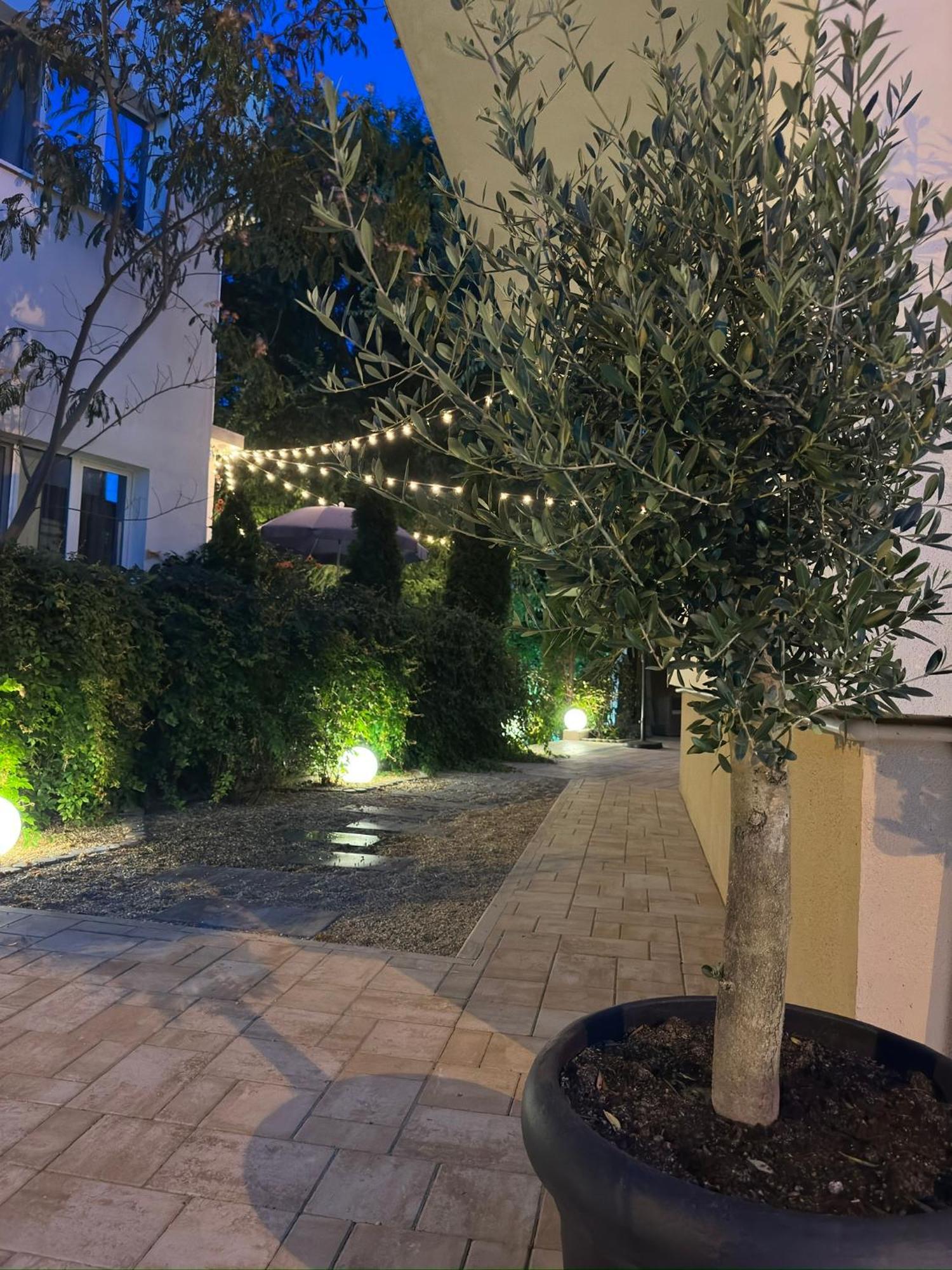 Plexus Boutique Hotel Eforie Sud  Bagian luar foto