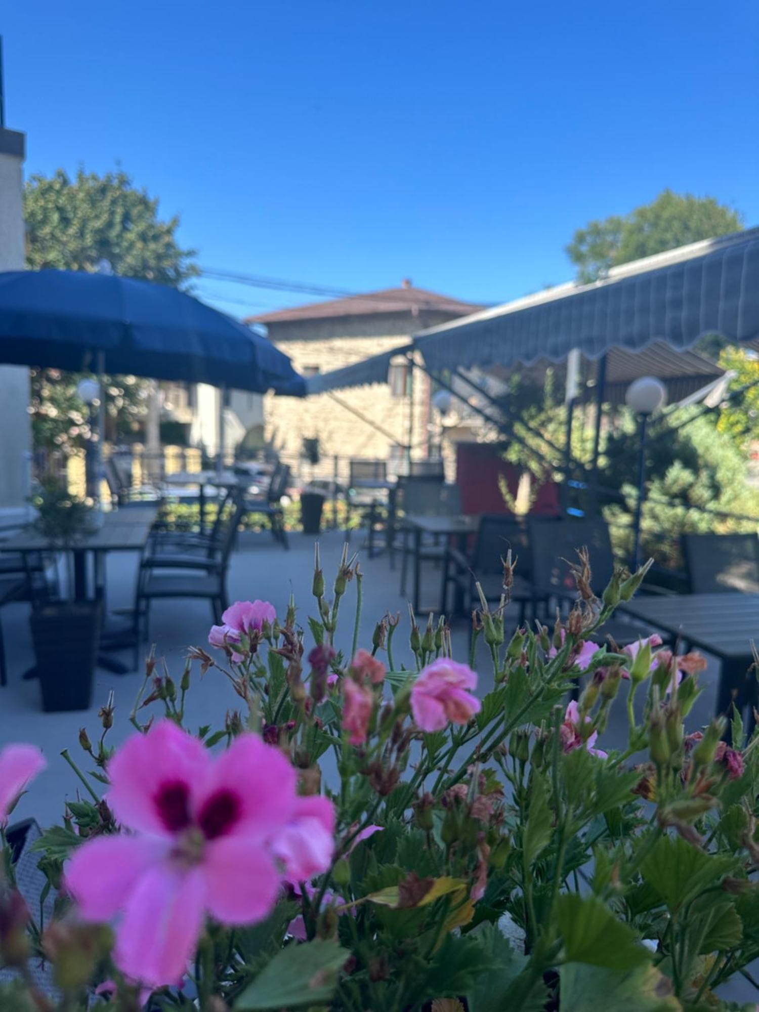 Plexus Boutique Hotel Eforie Sud  Bagian luar foto